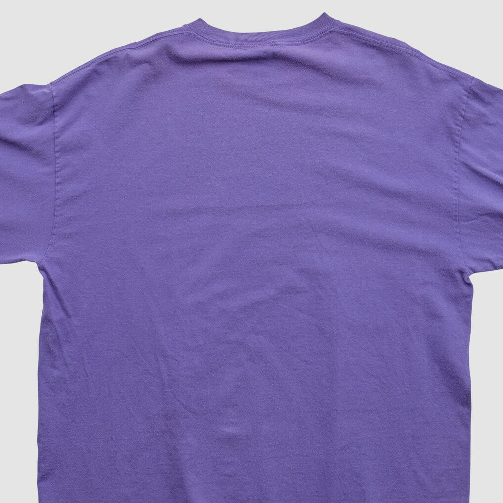 NFL 2010s Long Sleeve T-shirt - Minnesota Vikings