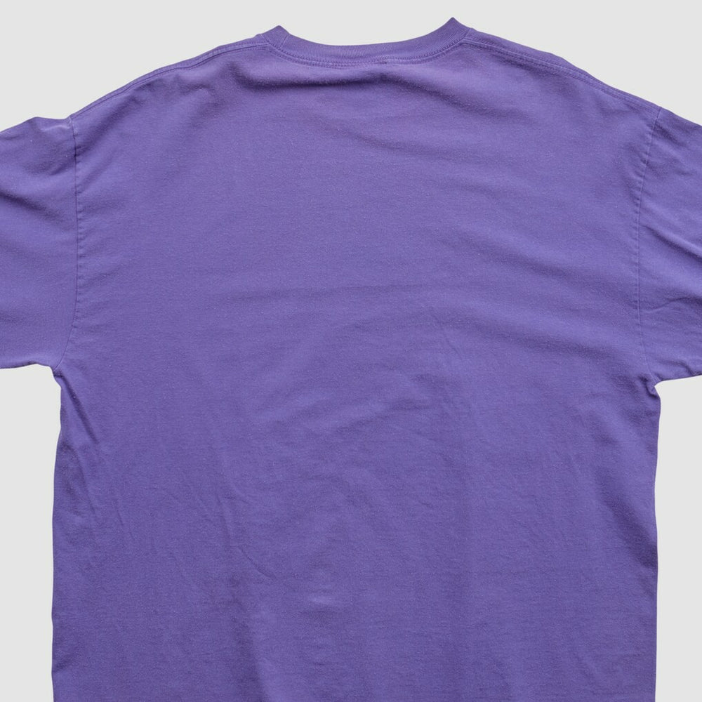 NFL 2010s Long Sleeve T-shirt - Minnesota Vikings