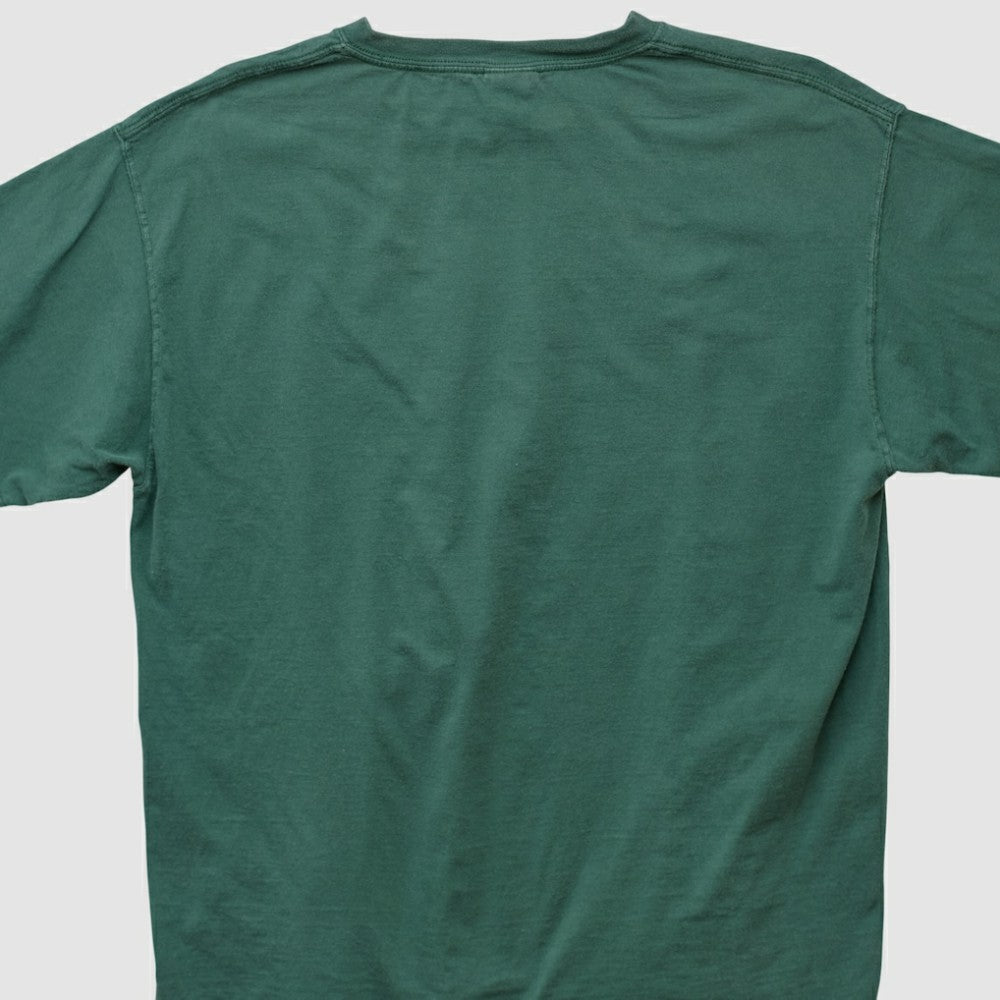 MLB Tampa Bay Rays Lee Sport T-shirt