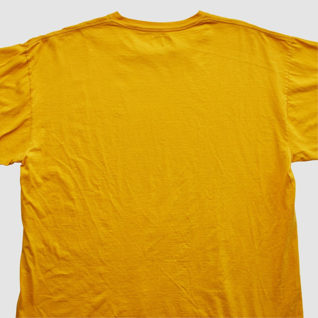 NFL 2000s T-shirt - Minnesota Vikings