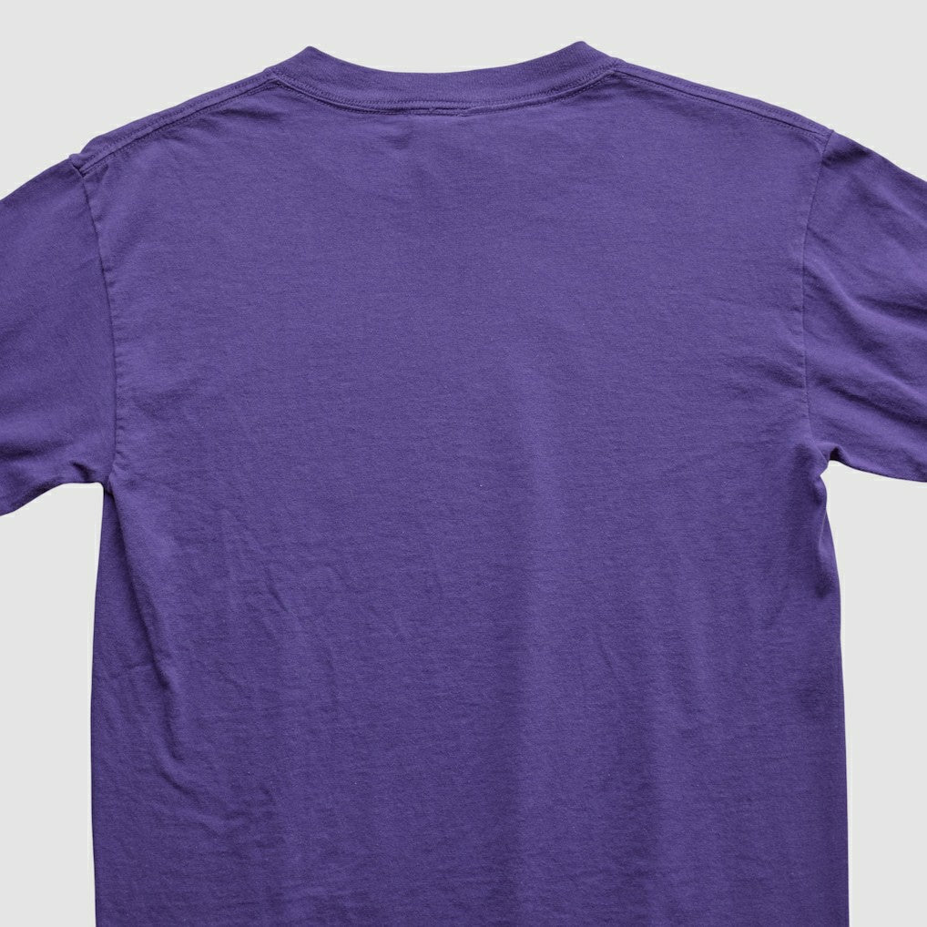 Adrian Peterson NFL 2000s Long Sleeve T-shirt - Minnesota Vikings