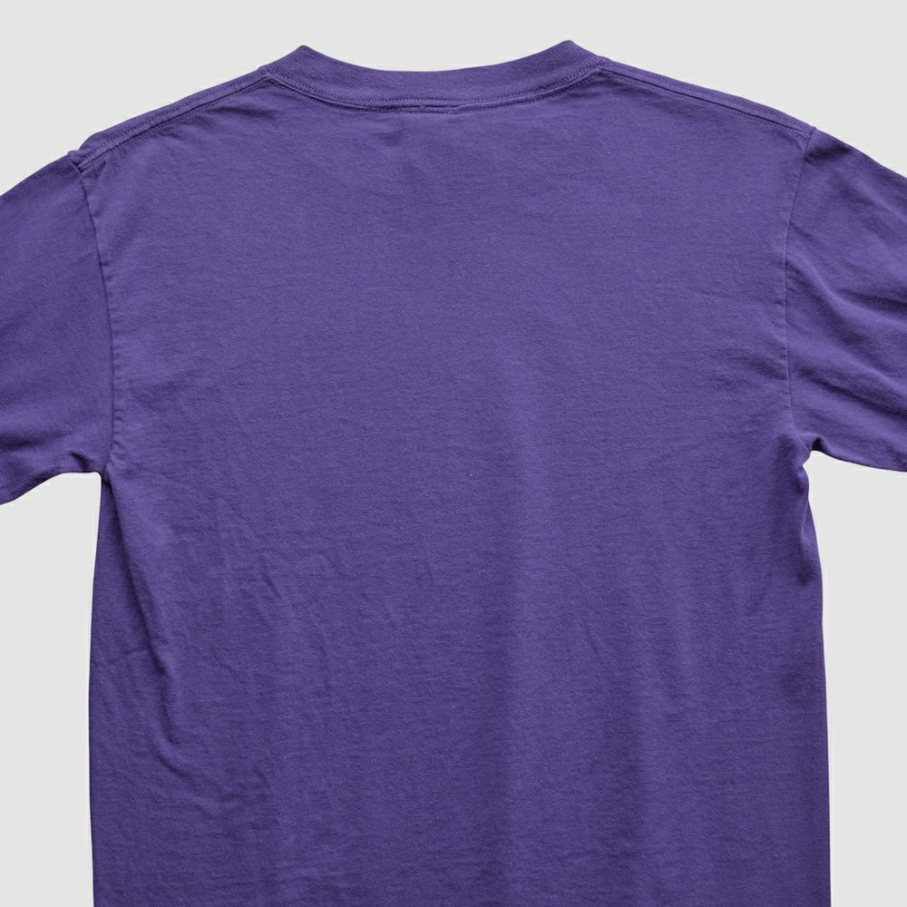 Adrian Peterson NFL 2000s Long Sleeve T-shirt - Minnesota Vikings