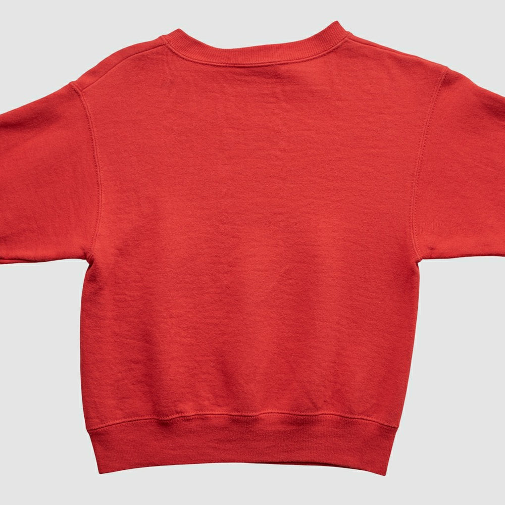 NBA Chicago Bulls Lee Apparel 90s Pullover Sweatshirt