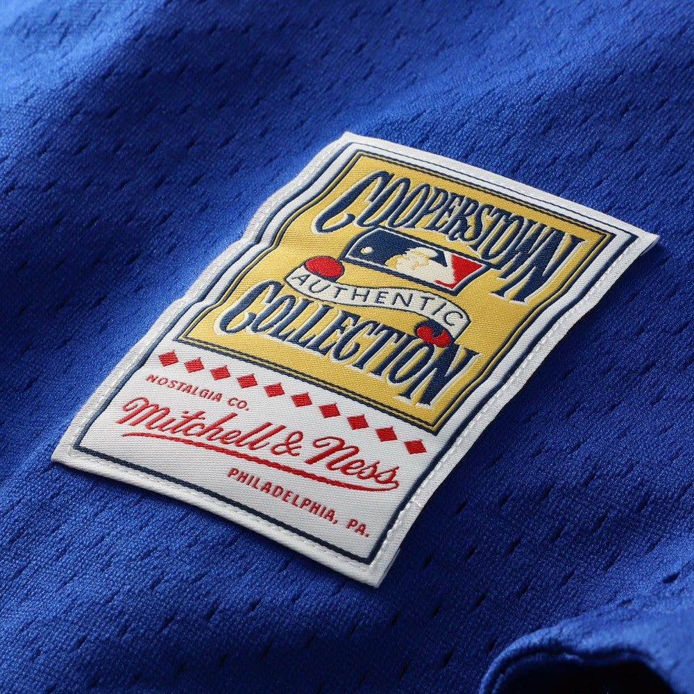 MLB Mike Piazza Los Angeles Dodgers Mitchell & Ness Cooperstown Collection Mesh Batting Practice Button-Up Jersey