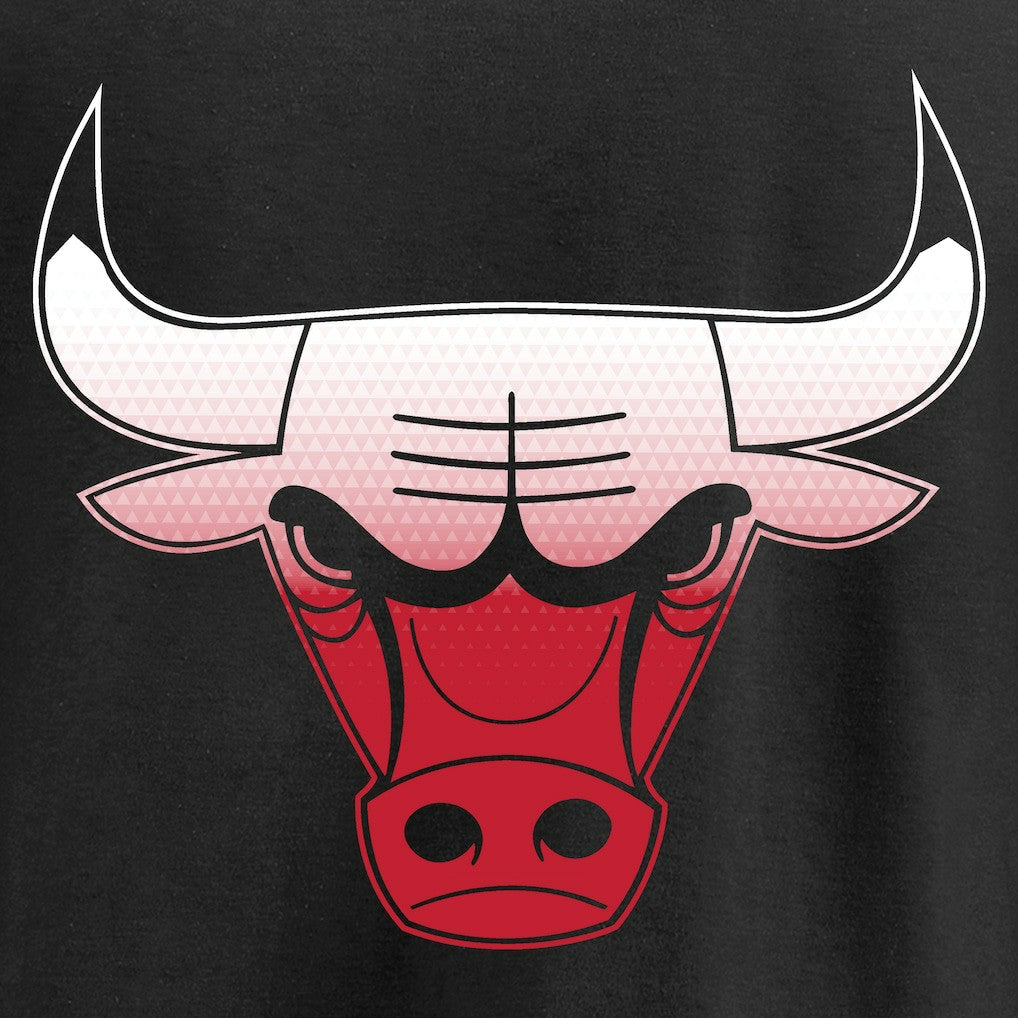 NBA Chicago Bulls Gradient Logo T-Shirt sale
