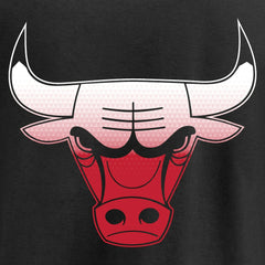 NBA Chicago Bulls Gradient Logo T-Shirt sale
