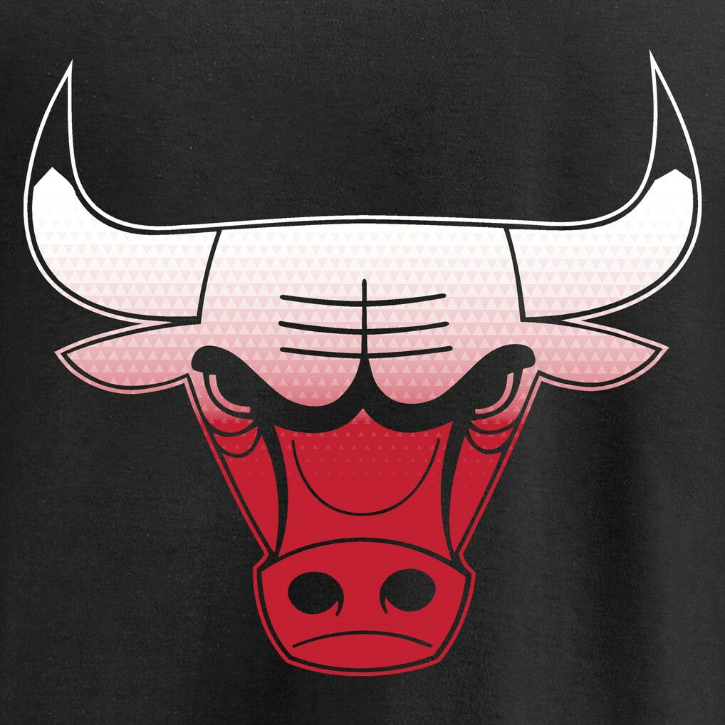 NBA Chicago Bulls Gradient Logo Pullover Hoodie