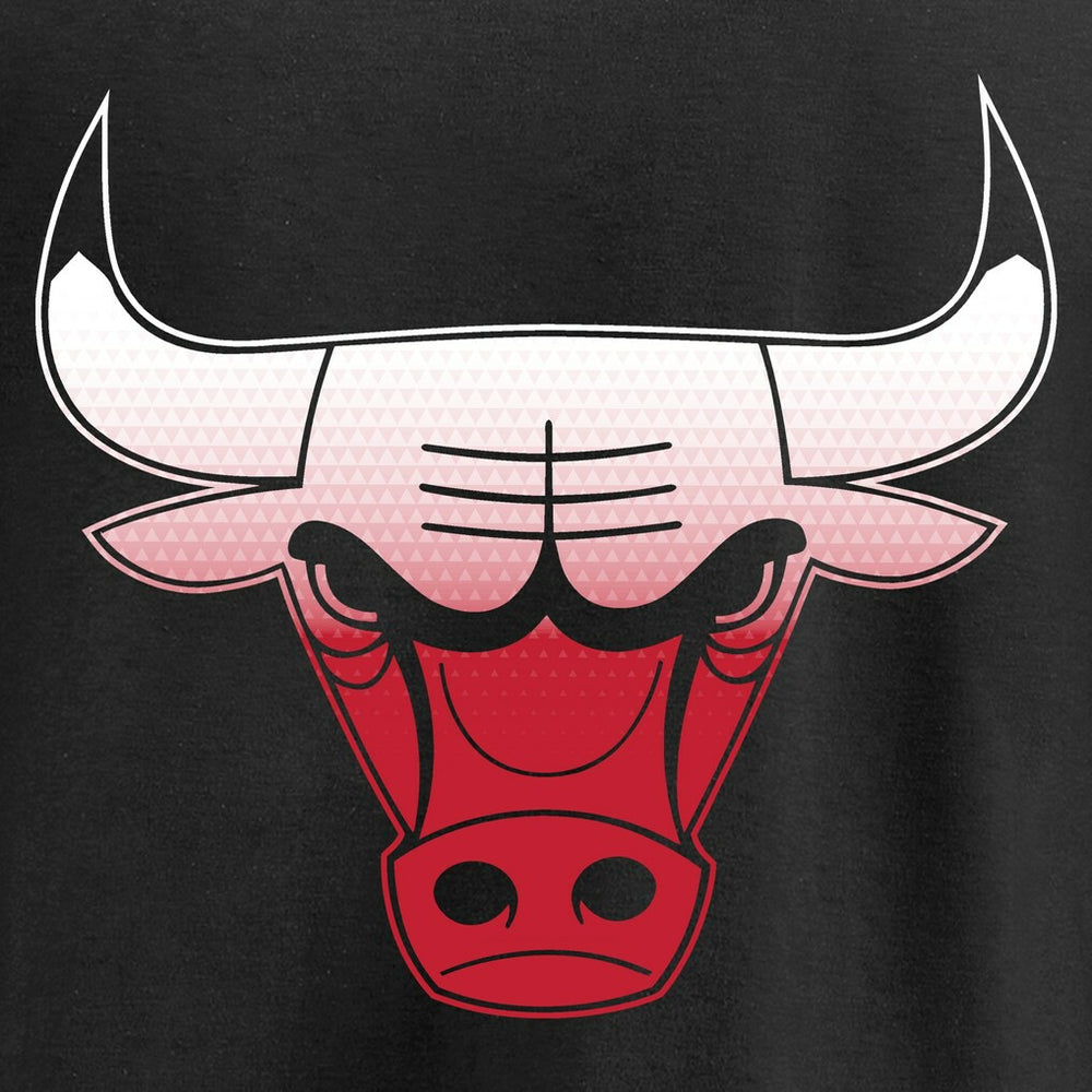 NBA Chicago Bulls Gradient Logo Pullover Hoodie