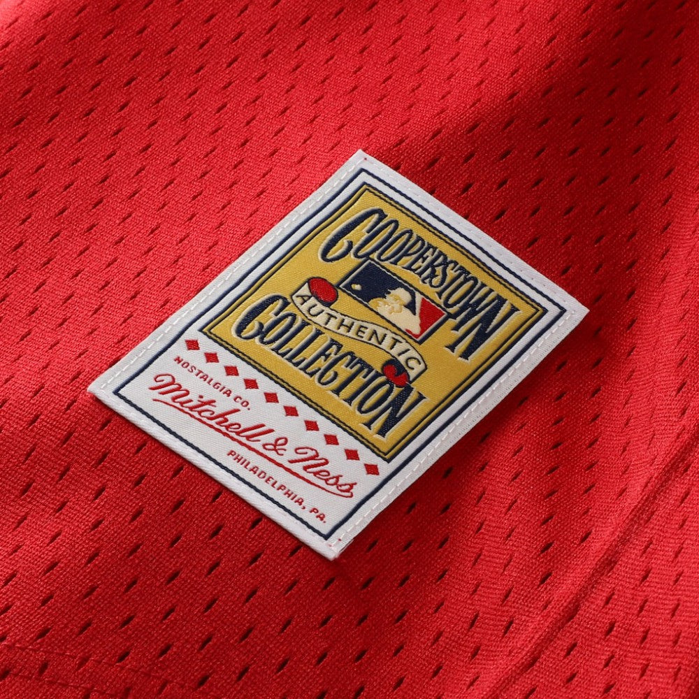 MLB Ozzie Smith St. Louis Cardinals Mitchell & Ness Youth Cooperstown Collection Mesh Batting Practice Jersey