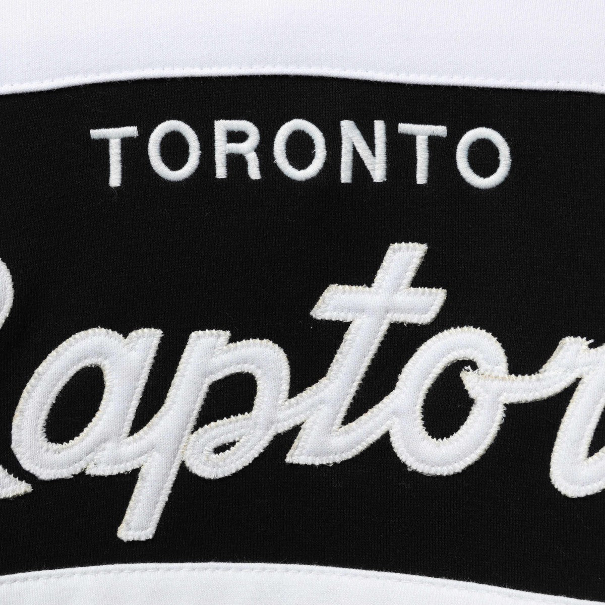 NBA Toronto Raptors Head Coach Pullover Hoodie
