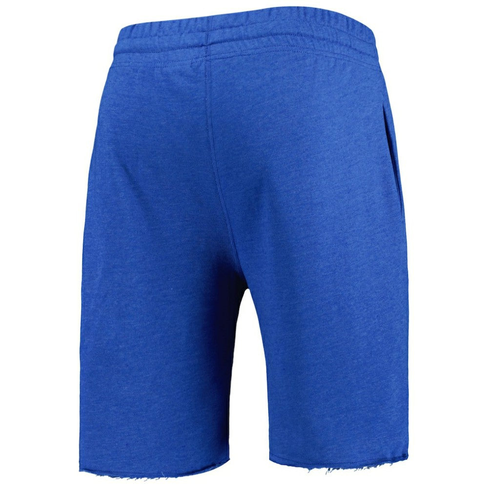 MLB Chicago Cubs Concepts Sport Mainstream Terry Shorts