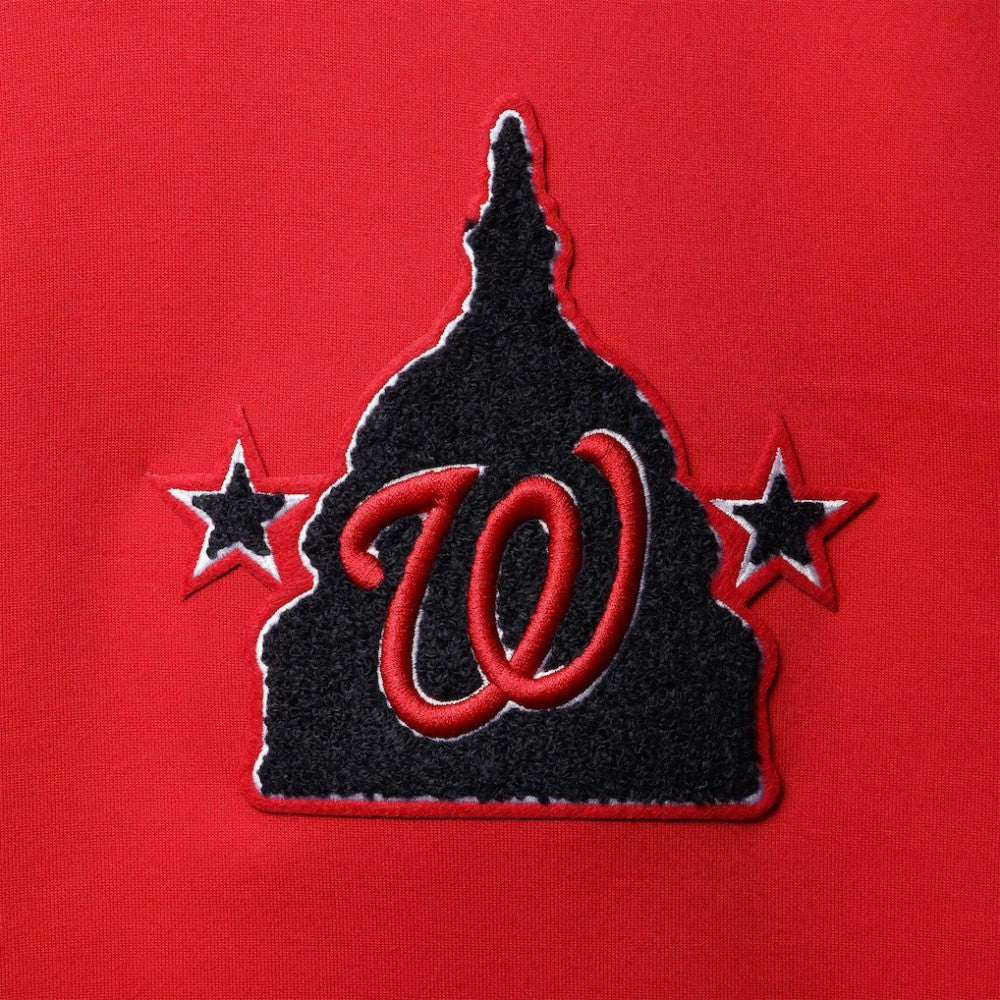 MLB Washington Nationals Pro Standard Logo Pullover Hoodie