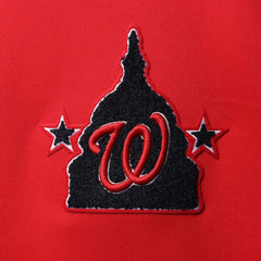 MLB Washington Nationals Pro Standard Logo Pullover Hoodie