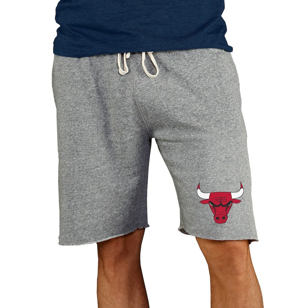 NBA Chicago Bulls Concepts Sport Mainstream Terry Shorts