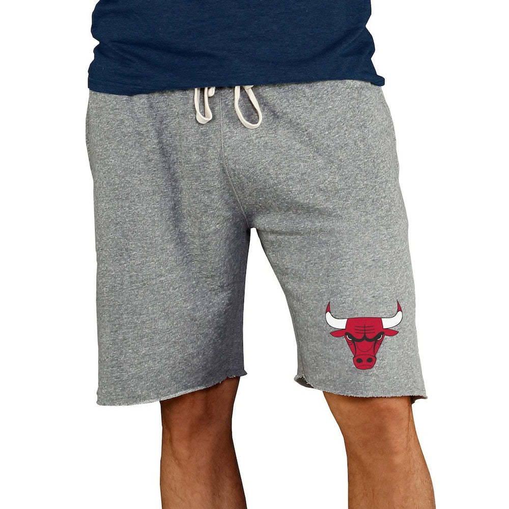 NBA Chicago Bulls Concepts Sport Mainstream Terry Shorts