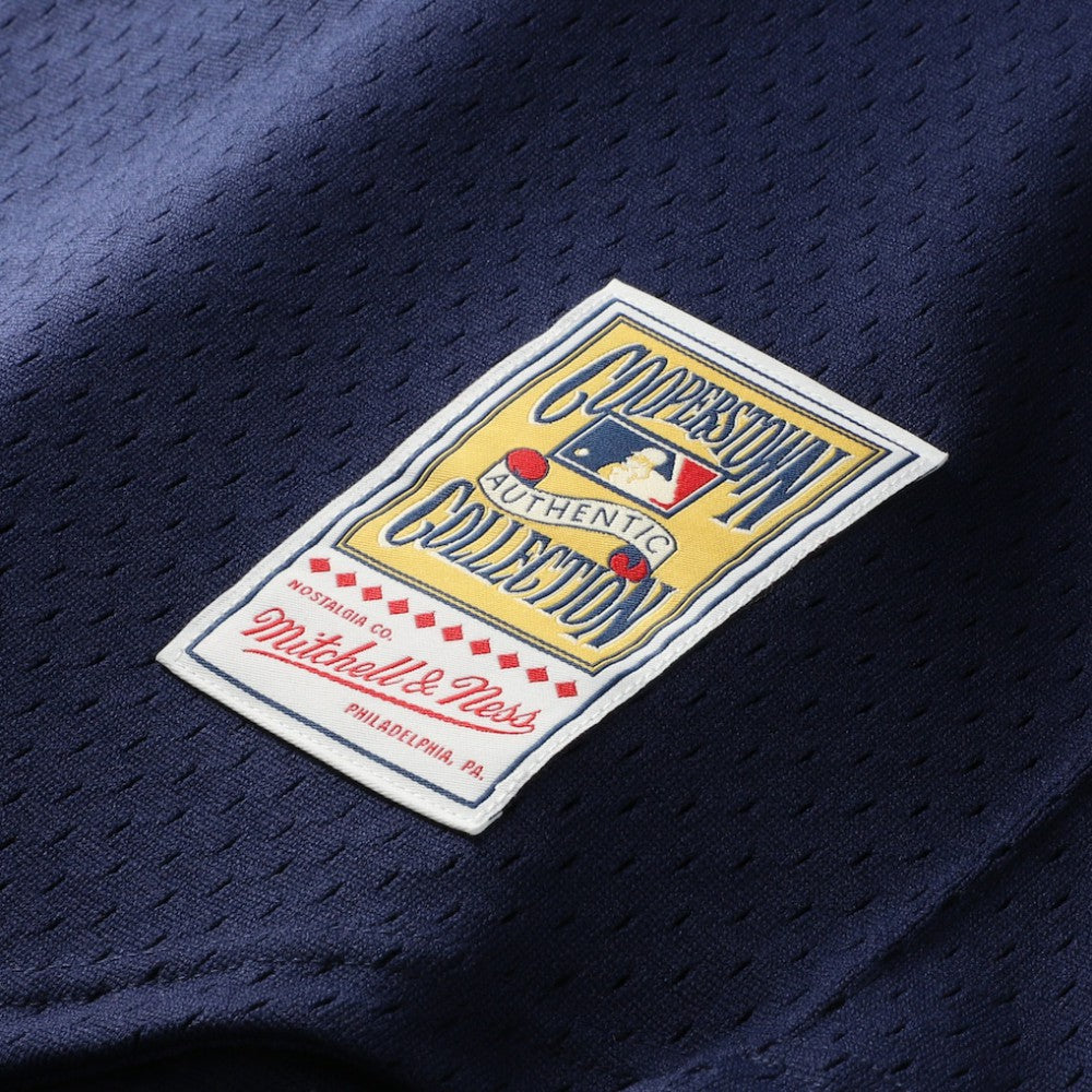 MLB Pedro Martinez Boston Red Sox Mitchell & Ness Authentic Batting Practice Jersey