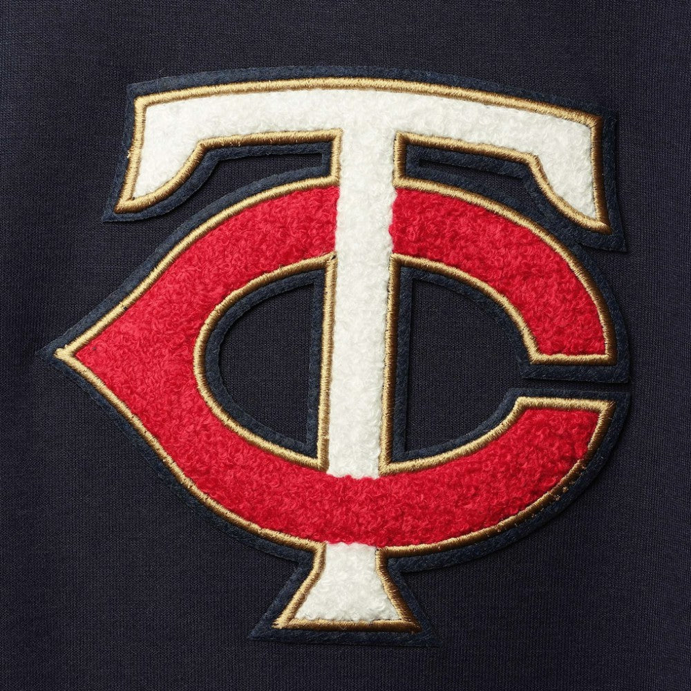 MLB Minnesota Twins Pro Standard Team Logo Pullover Hoodie