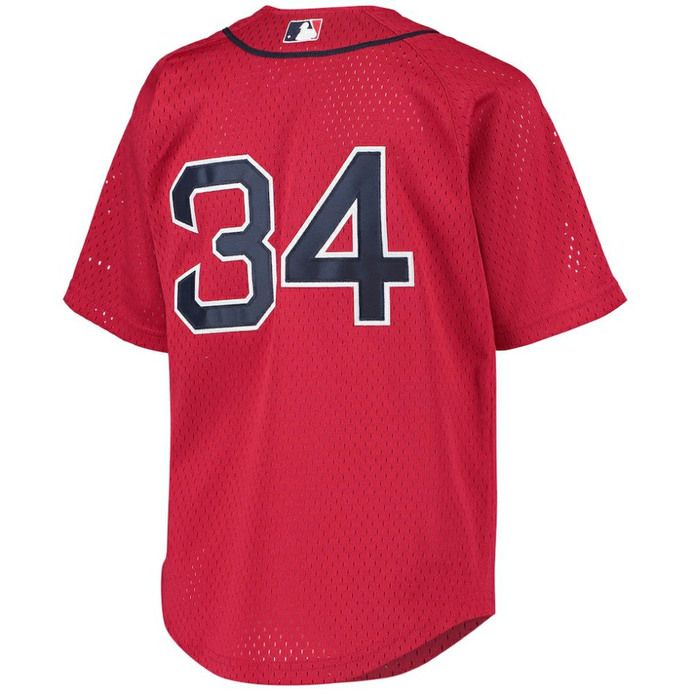 MLB David Ortiz Boston Red Sox Mitchell & Ness Youth Cooperstown Collection Batting Practice Jersey
