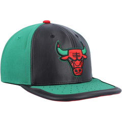 NBA Chicago Bulls Day One Snapback Hat