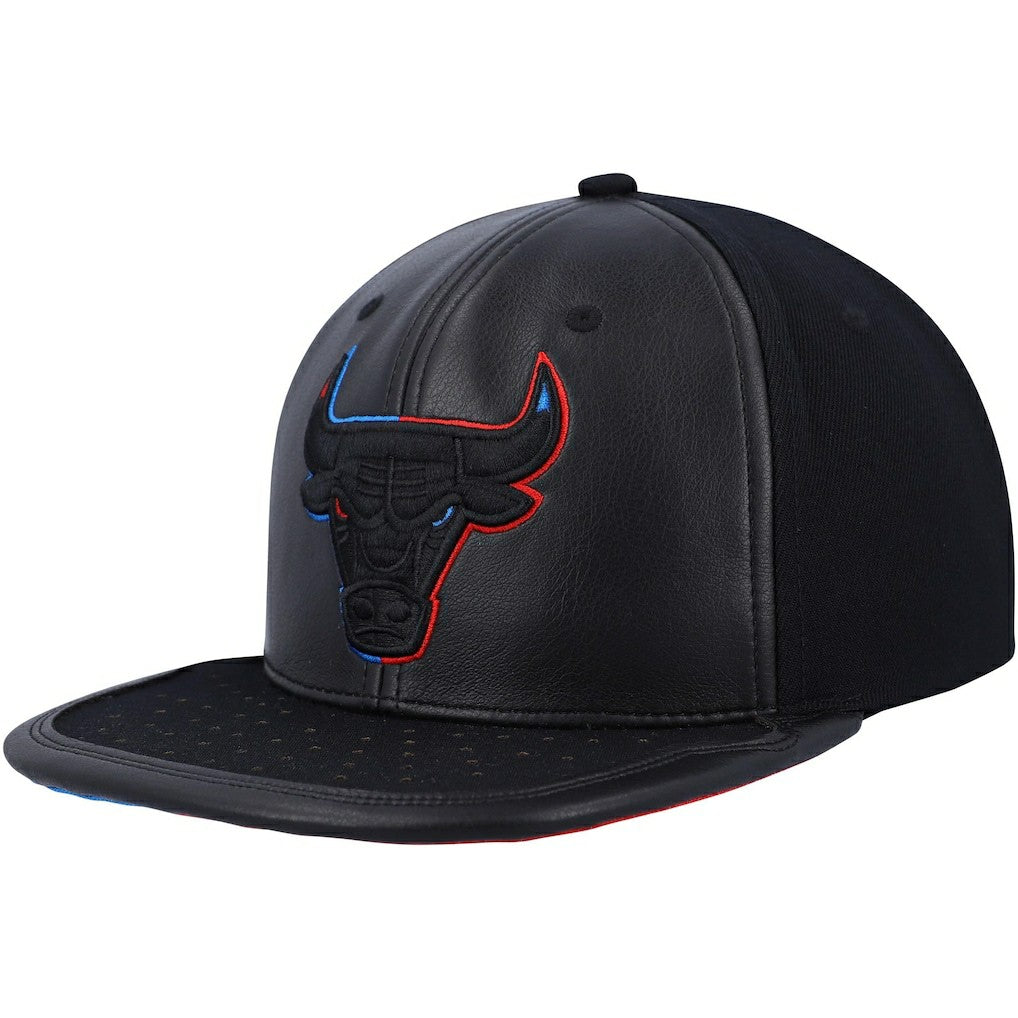 NBA Chicago Bulls Day One Snapback Hat