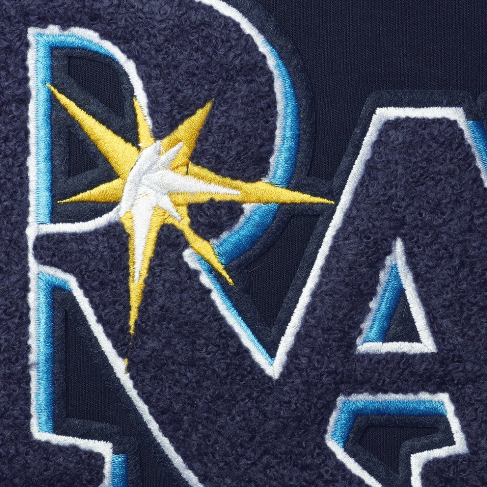 MLB Tampa Bay Rays Pro Standard Team T-Shirt