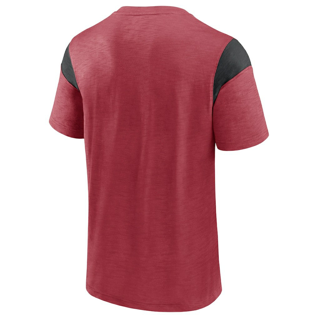 Home Stretch Team T-Shirt - Arizona Cardinals