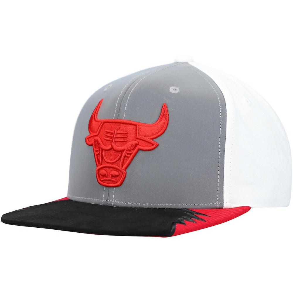 NBA Chicago Bulls Day 5 Snapback Hat