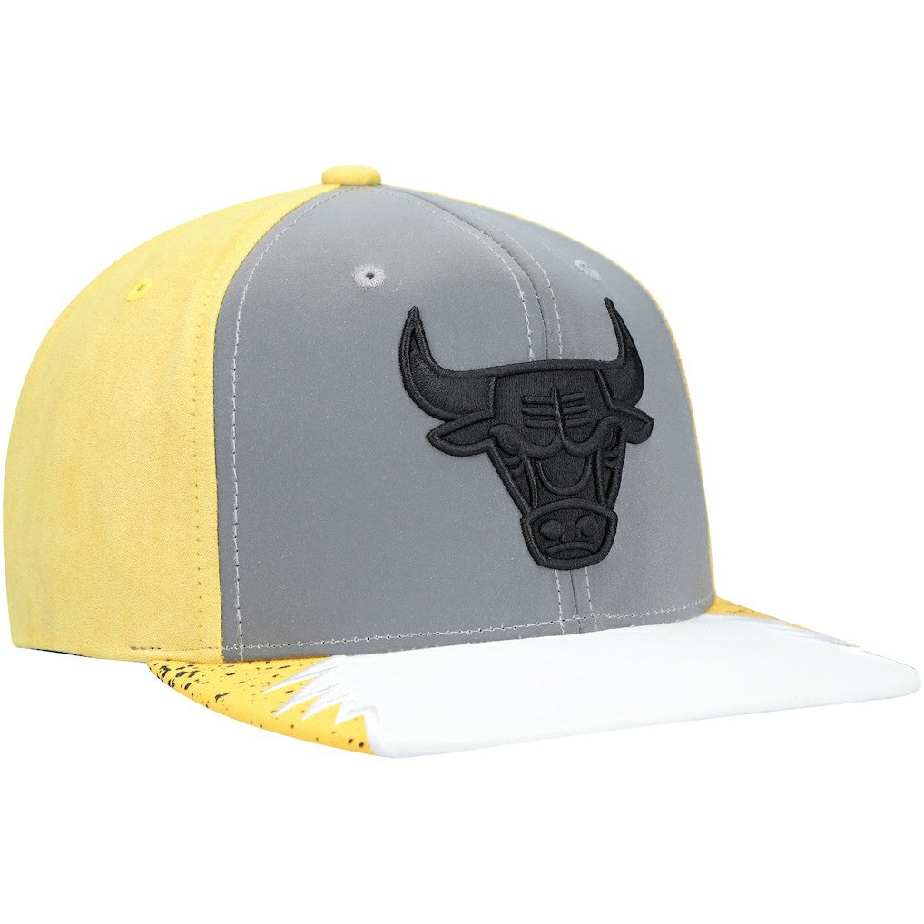 NBA Chicago Bulls Day 5 Snapback Hat