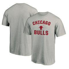 NBA Chicago Bulls Victory Arch T-Shirt sale