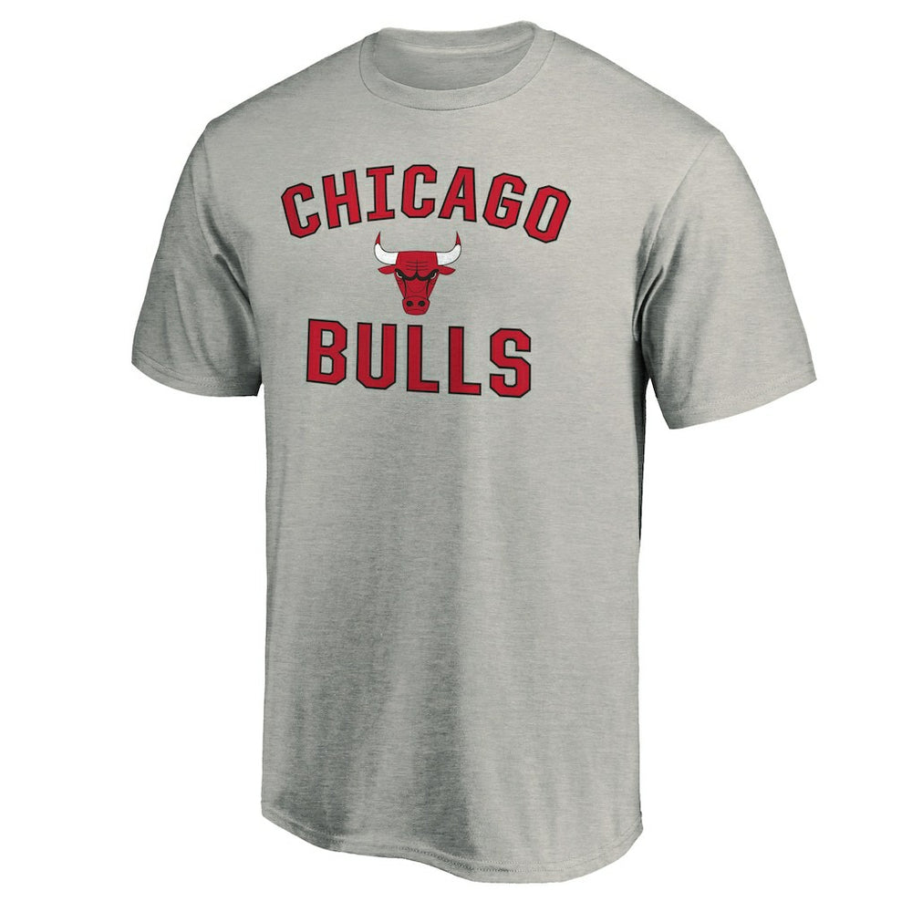 NBA Chicago Bulls Victory Arch T-Shirt sale