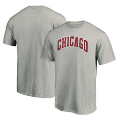 NBA Chicago Bulls Alternate Logo T-Shirt sale