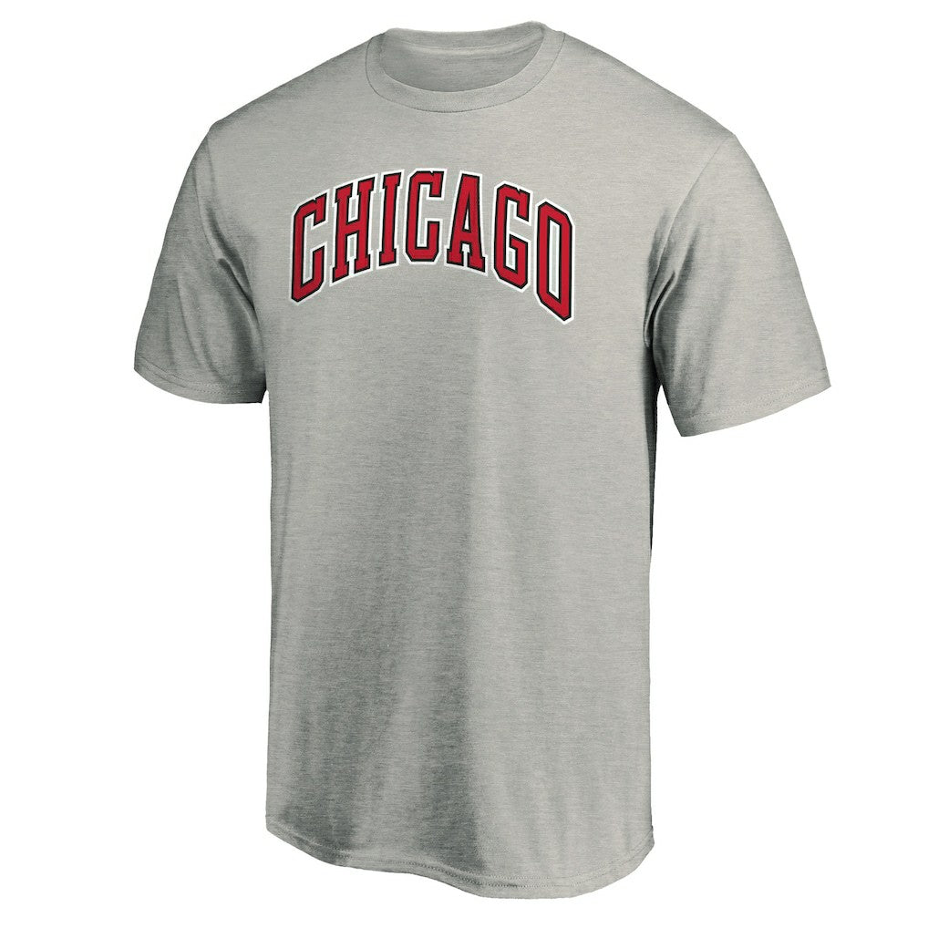 NBA Chicago Bulls Alternate Logo T-Shirt sale