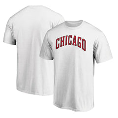 NBA Chicago Bulls Alternate Logo T-Shirt sale