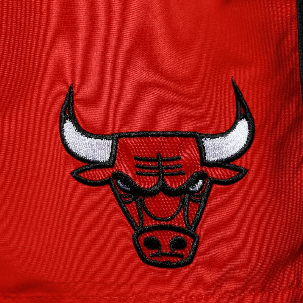 NBA Chicago Bulls G-III Sports by Carl Banks Sand Beach Volley Swim Shorts