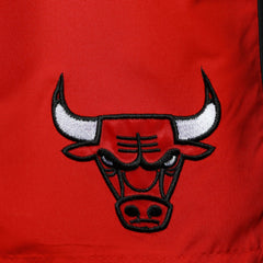 NBA Chicago Bulls G-III Sports by Carl Banks Sand Beach Volley Swim Shorts