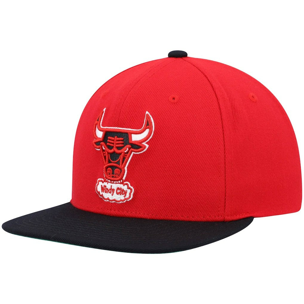 NBA Chicago Bulls Hardwood Classics Team Two-Tone 2.0 Snapback Hat