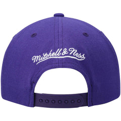 NBA Sacramento Kings Ground 2.0 Snapback Hat sale