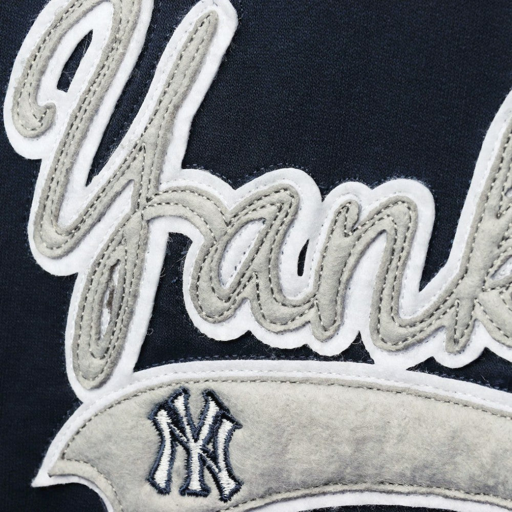 MLB New York Yankees Soft as a Grape Women's Plus Size Side Split Pullover Hoodie
