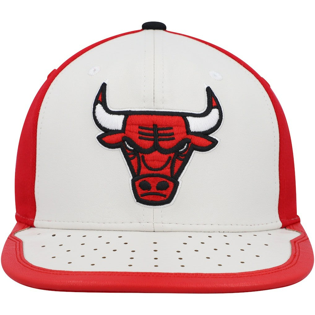 NBA Chicago Bulls Day One Snapback Hat