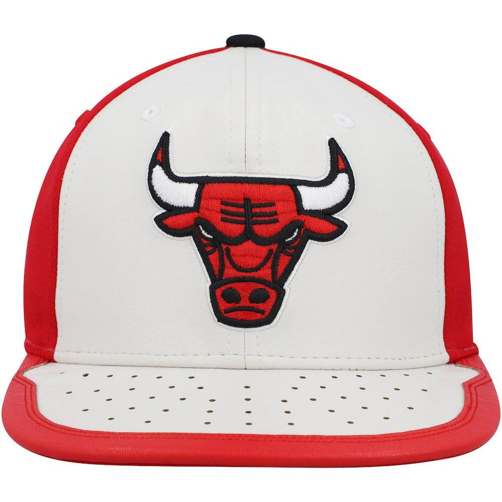 NBA Chicago Bulls Day One Snapback Hat