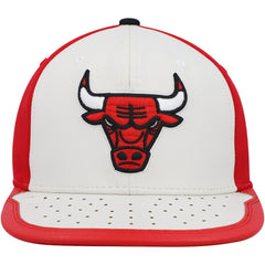 NBA Chicago Bulls Day One Snapback Hat