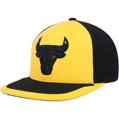 NBA Chicago Bulls Day One Snapback Hat