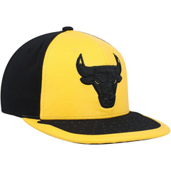 NBA Chicago Bulls Day One Snapback Hat
