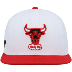 NBA Chicago Bulls Hardwood Classics Snapback Hat
