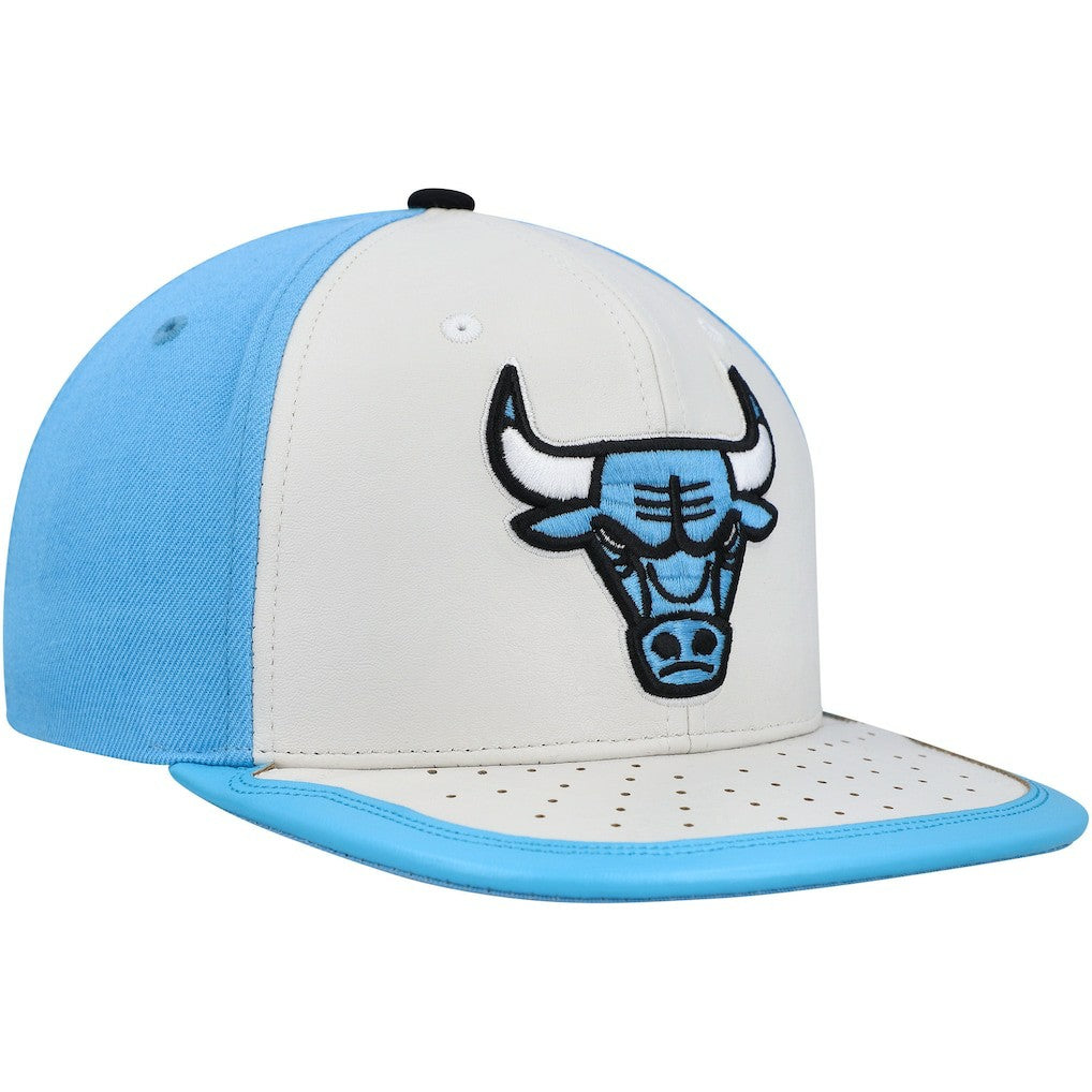 NBA Chicago Bulls Day One Snapback Hat