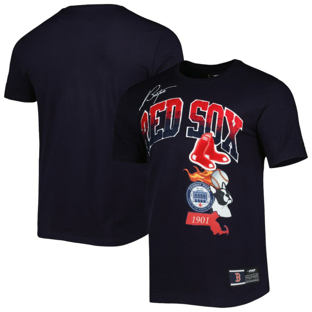 MLB Boston Red Sox Pro Standard Hometown T-Shirt