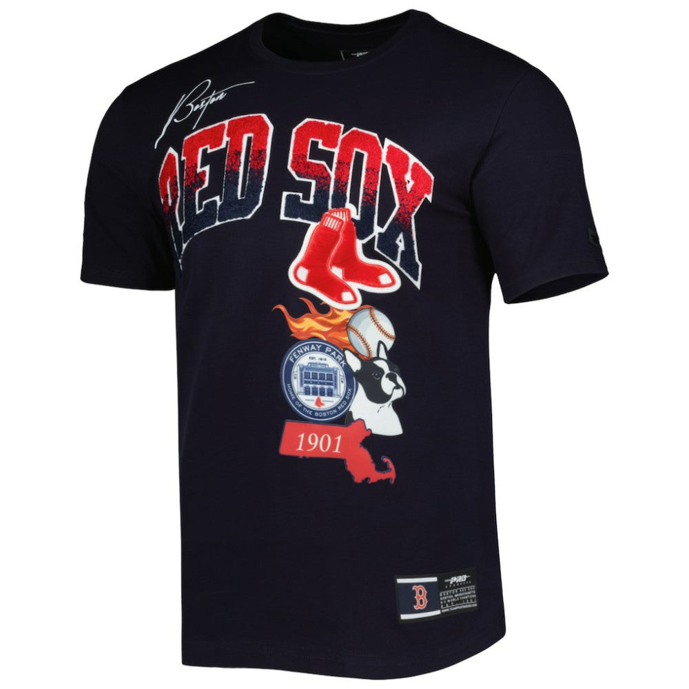MLB Boston Red Sox Pro Standard Hometown T-Shirt