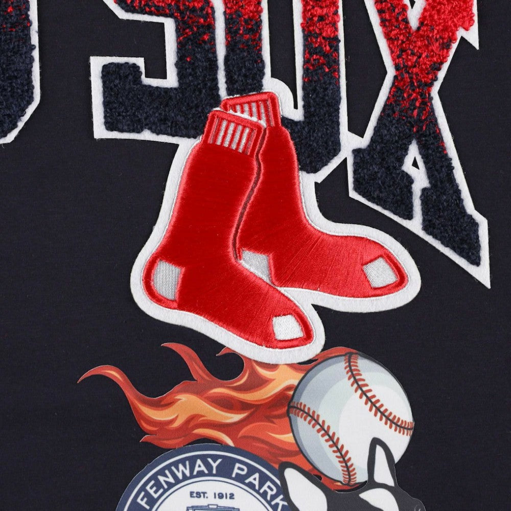 MLB Boston Red Sox Pro Standard Hometown T-Shirt