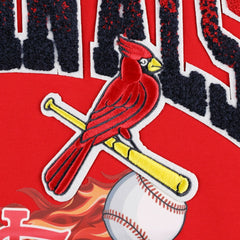 MLB St. Louis Cardinals Pro Standard Hometown T-Shirt