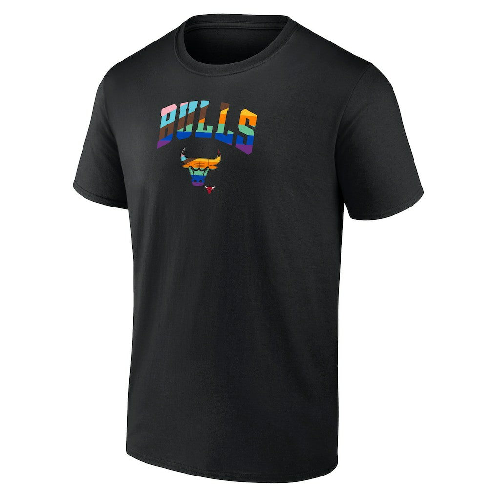 NBA Chicago Bulls Logo Pride T-Shirt sale
